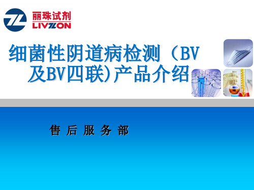 6、 BV及BV联合产品介绍
