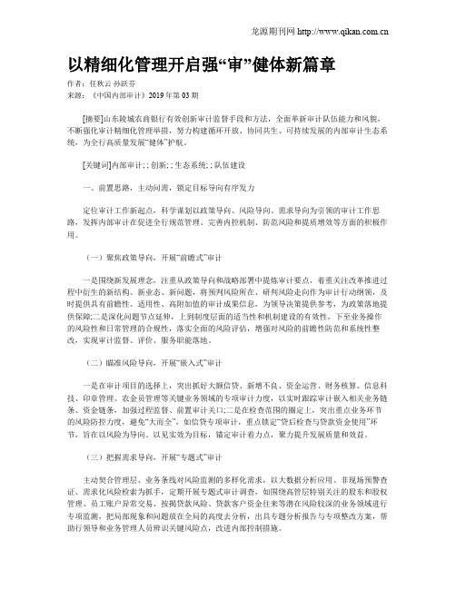 以精细化管理开启强“审”健体新篇章