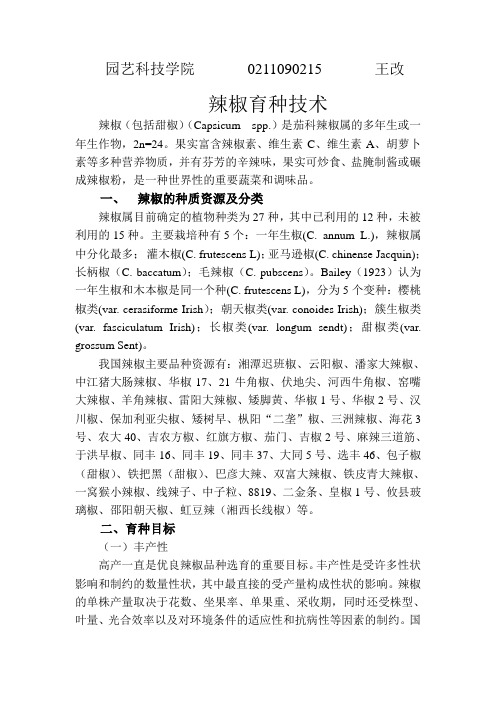 辣椒育种