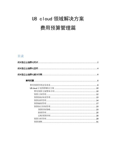 U8 cloud领域解决方案-预算管理SP
