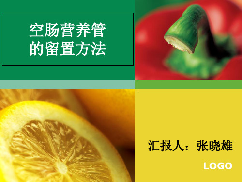 空肠营养管的留置方法 张晓雄 ppt课件