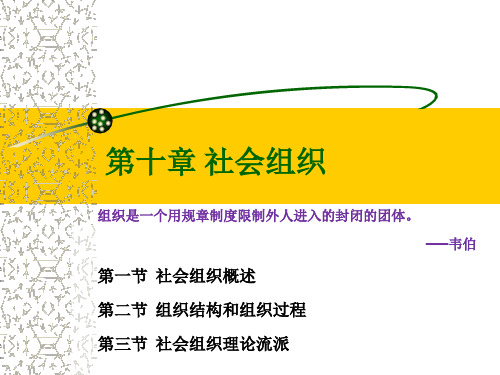 第十章 社会组织