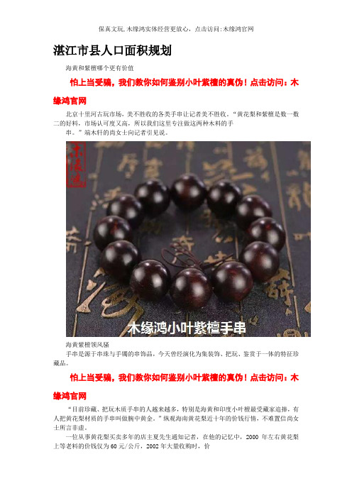 湛江市县人口面积规划
