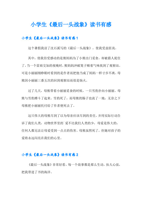 小学生《最后一头战象》读书有感