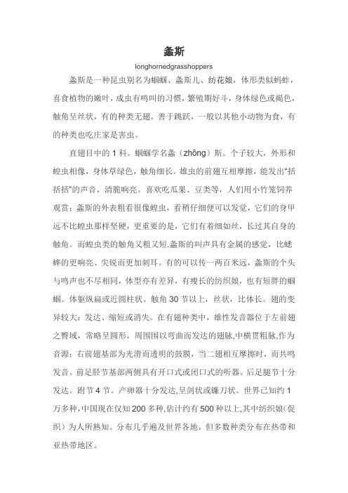螽斯