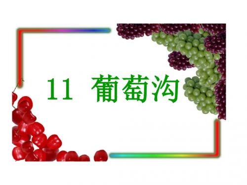 二年级上册语文课件-11葡萄沟人教(部编版)(共20张PPT)