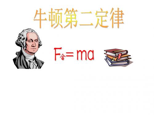 高一物理牛顿第二定律2