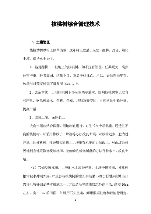 核桃树综合科管技术