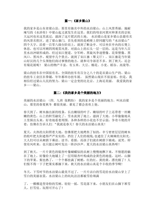 我的家乡,水泊梁山,作文