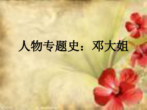 人物专题史：邓大姐