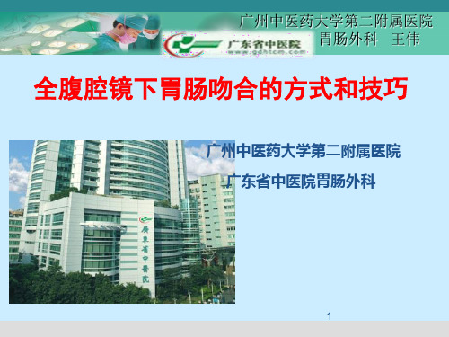 全腹腔镜下胃肠吻合的方式和技巧PPT课件