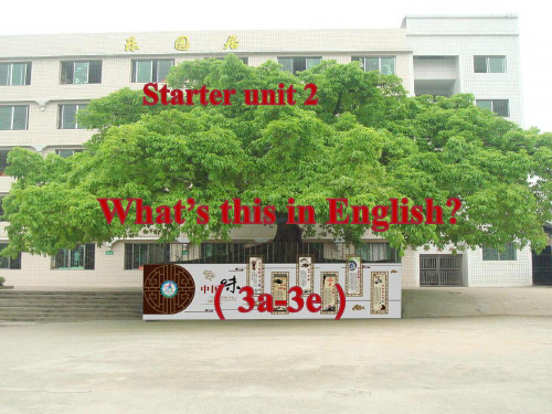 七年级上册英语课件： Starter Units 2 What's this in Engli：人教版 (共40张PPT)