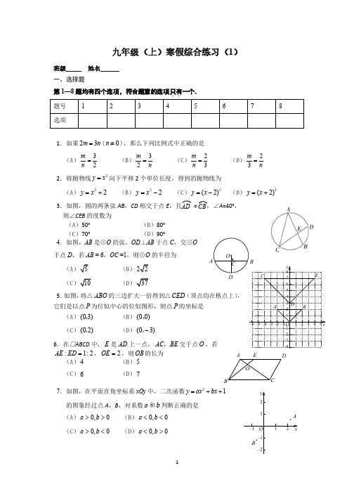 北京市北京大学附属中学2020-2021学年九年级数学寒假综合练习(1)
