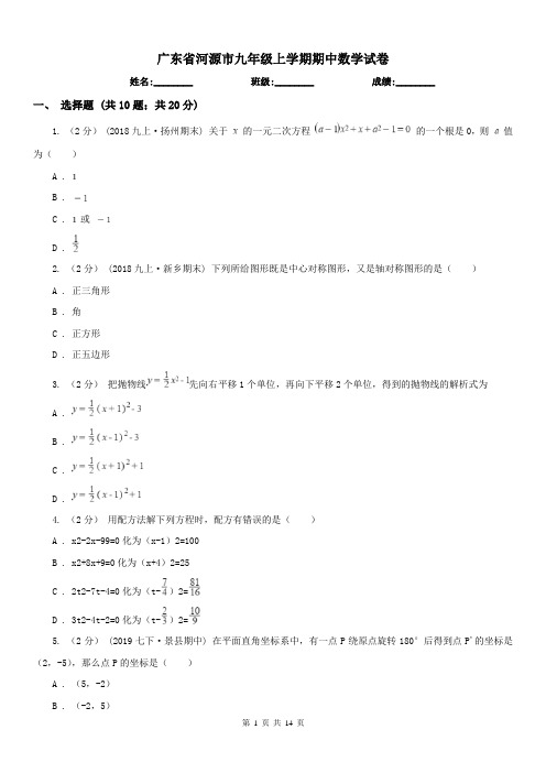 广东省河源市九年级上学期期中数学试卷
