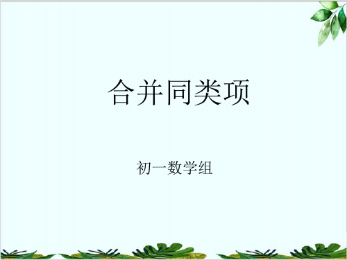 人教版七年级上册.合并同类项经典课件