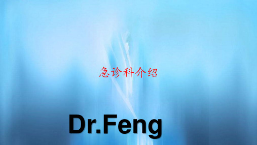 急诊科介绍(PPT课件)