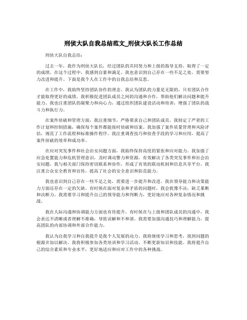 刑侦大队自我总结范文_刑侦大队长工作总结