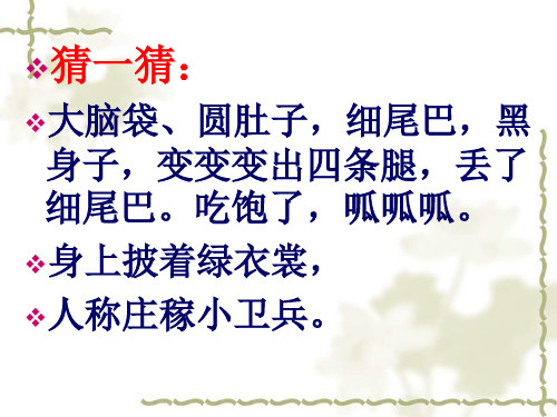 识字一---保护庄稼好卫兵52页PPT
