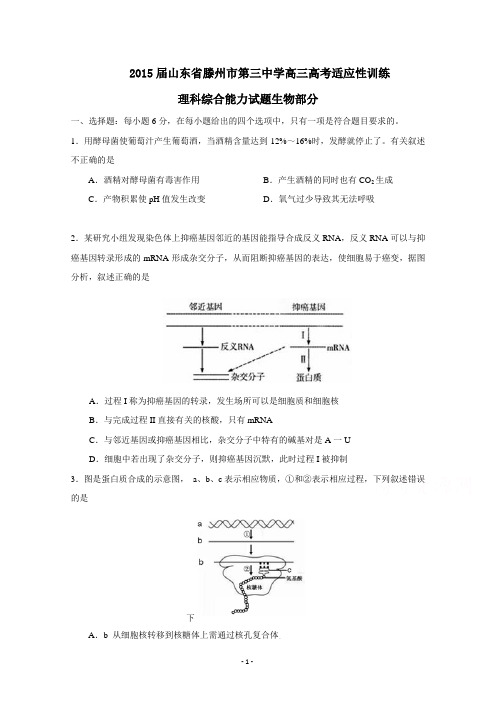 2015届山东省滕州市第三中学高三高考适应性训练理综生物试题Word版含答案