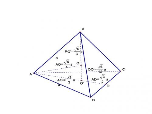 高一数学平面的基本性质1