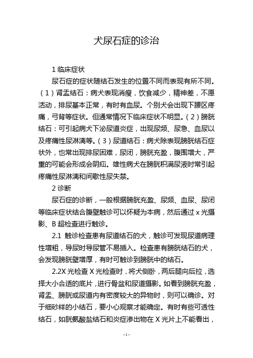 犬尿石症的诊治