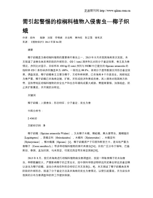 需引起警惕的棕榈科植物入侵害虫—椰子织蛾