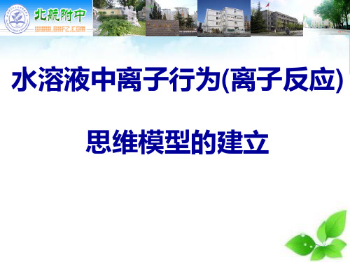 水溶液中离子行为(离子反应)思维模型的建立PPT课件(上课用)