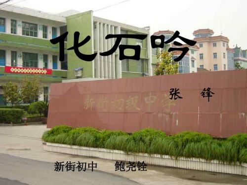 《化石吟》课件07