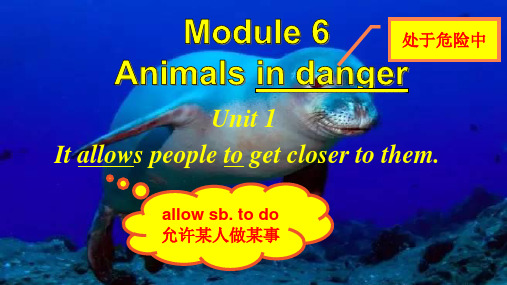 外研版英语八年级上册M6U1 教学课件