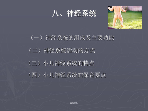 儿童神经系统ppt课件