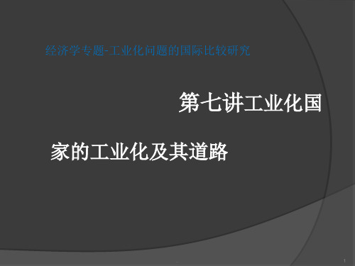 经济学专题7讲巴西ppt课件