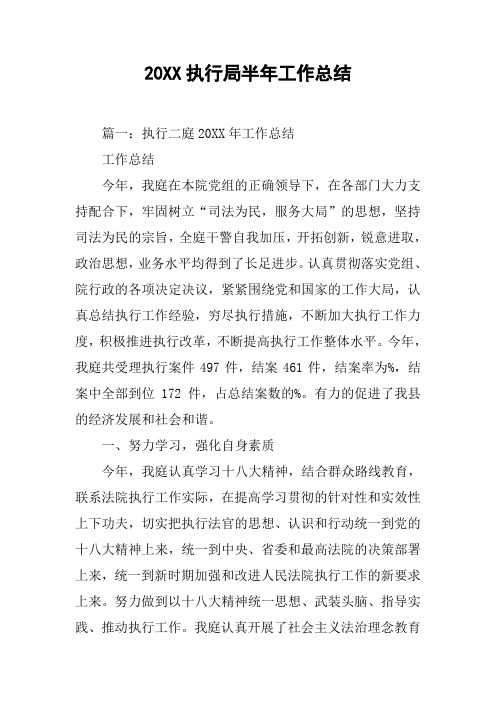 20XX执行局半年工作总结[工作范文]