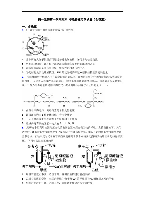 高一生物第一学期期末 非选择题专项试卷(含答案)