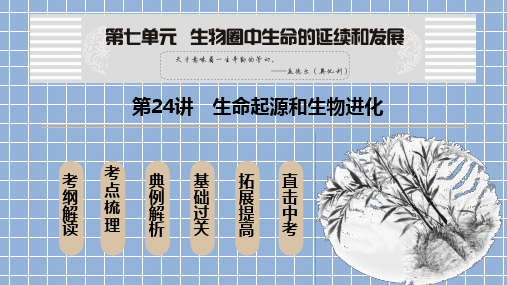 人教版生物中考复习《生命起源和生物进化》课件(共77张PPT)