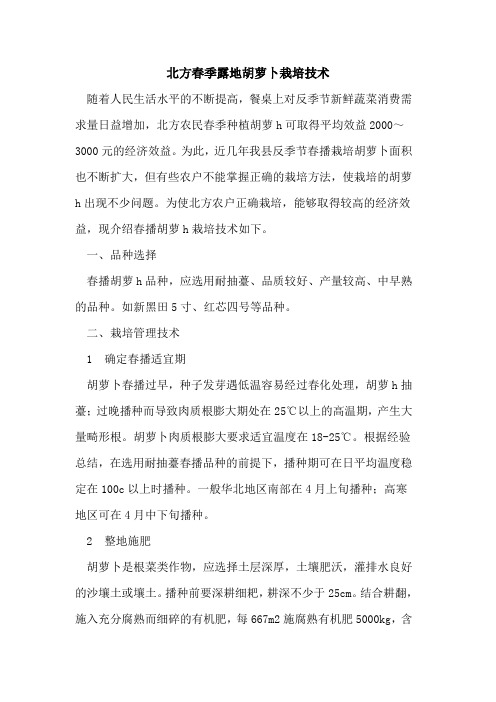 北方春季露地胡萝卜栽培技术