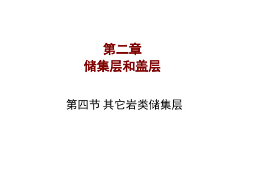 其他岩类储集层