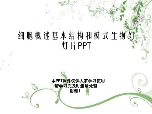 细胞概述基本结构和模式生物幻灯片PPT