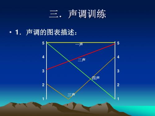 声调及多音字、易错字