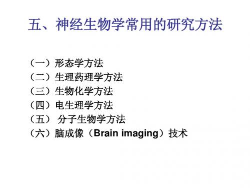神经生物学的常用研究方法
