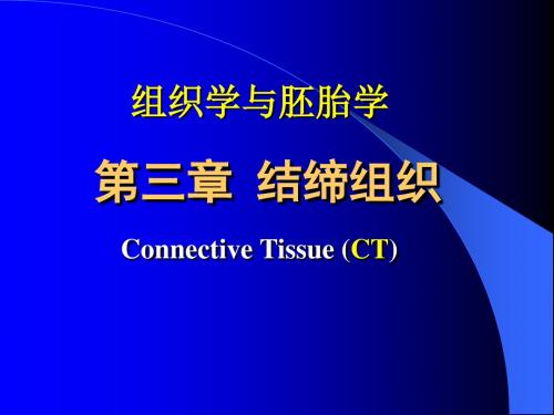 组织胚胎学课件-结缔组织