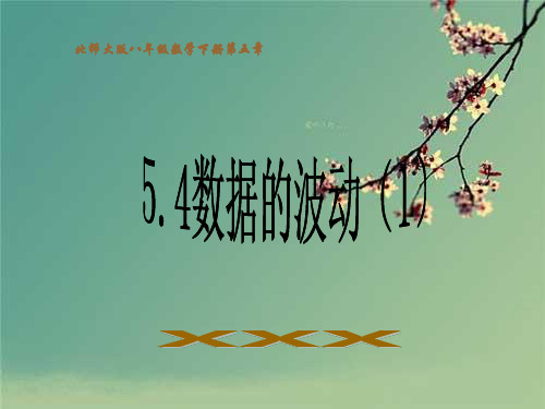 北师大版八年级数学下册.ppt