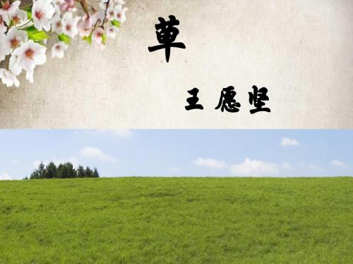 王愿坚草