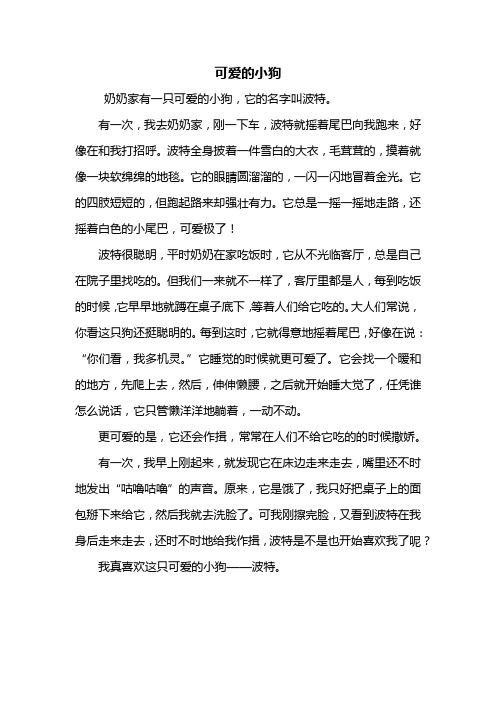 五年级作文：可爱的小狗作文500字_2