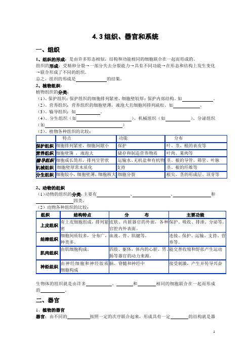 组织、器官和系统知识点