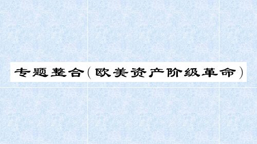 欧美资产阶级革命 专题整合