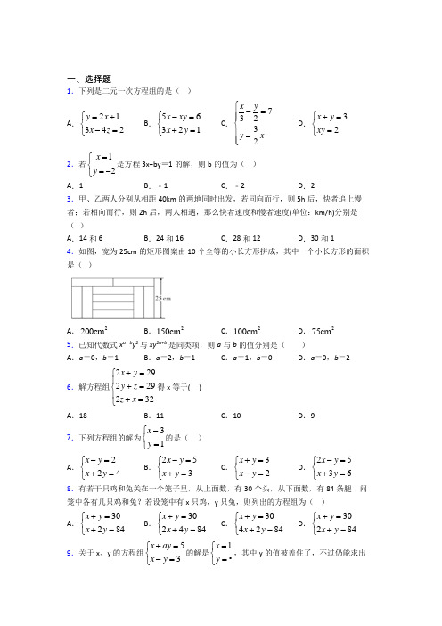 最新人教版初中数学七年级数学下册第四单元《二元一次方程组》测试(含答案解析)