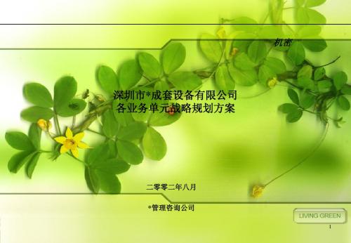 某公司各业务单元战略规划方案PPT模板