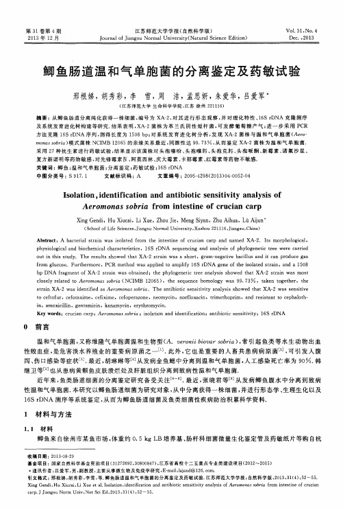 鲫鱼肠道温和气单胞菌的分离鉴定及药敏试验