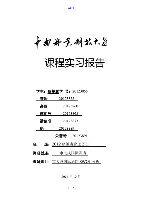 长沙大成酒店SWOT分析报告