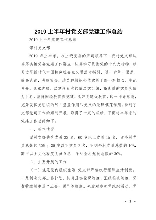 2019上半年村党支部党建工作总结